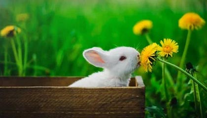 心碎！尘封资料让人破防，网友炸锅，尘封的意思?