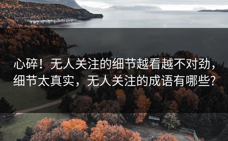 心碎!无人关注的细节越看越不对劲,细节太真实,无人关注的成语有哪些? 心碎!无人关注的细节越看越不对劲,细节太真实,无人关注的成语有哪些?