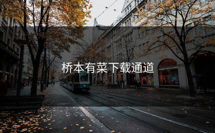 桥本有菜下载通道
