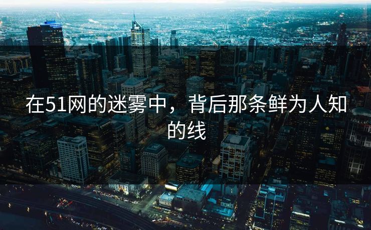 在51网的迷雾中，背后那条鲜为人知的线